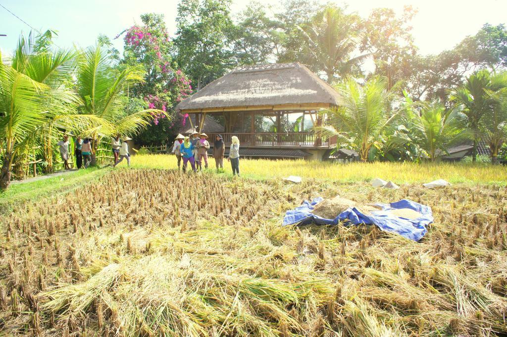 Prashanti Bali Ubud Exterior foto